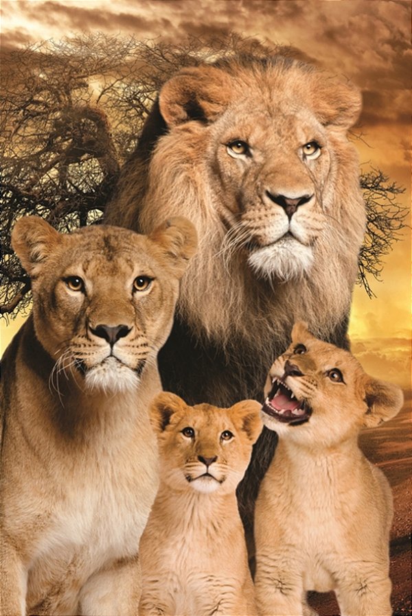 Quadro Decorativo Leões 2409