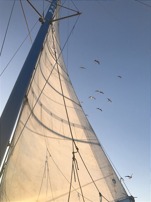 Quadro Decorativo Barcos e Canoas 3326