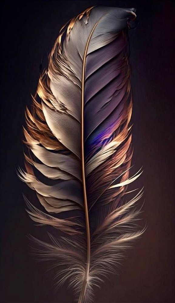 Quadro Decorativo Penas 3584
