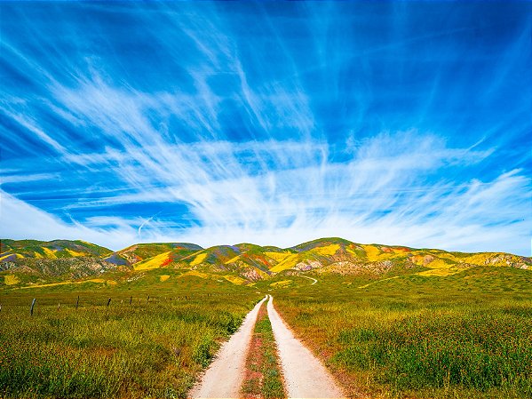Quadro Decorativo Paisagens 3733