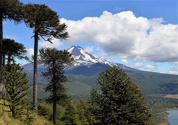 Quadro Decorativo Paisagens 3863