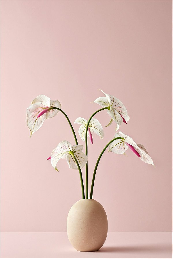 Quadro Decorativo Vasos 4142
