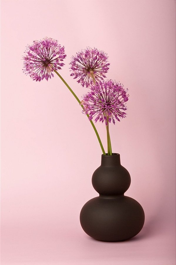 Quadro Decorativo Vasos 4231