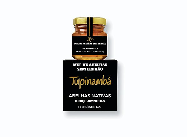 Mel de Abelhas sem Ferrão | Uruçu Amarela - 50g