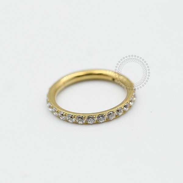PVD32 Segmento Cravejado Aço PVD Gold
