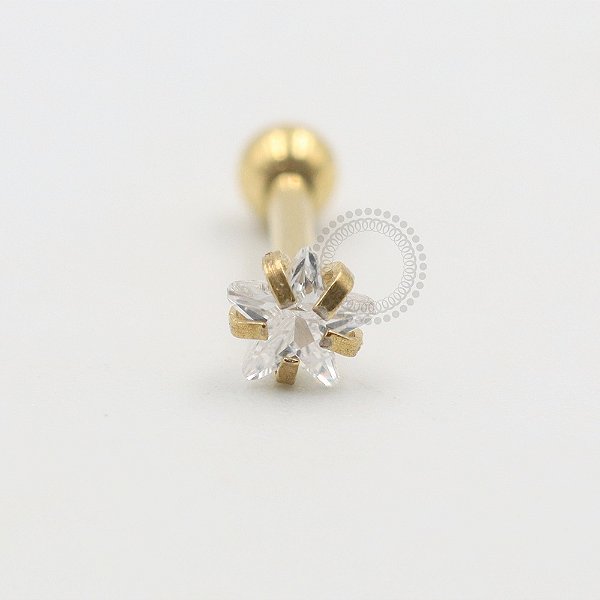 PVD75 Microbell Reto Estrela CZ Aço PVD Gold