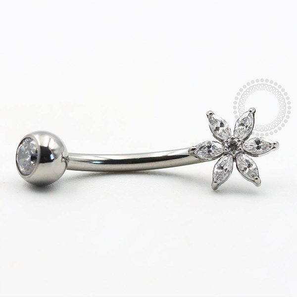 TN743 Navel Margarida Titânio ASTM F136