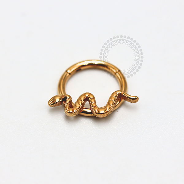 TN1139 Segmento Frontal 8mm Cobra Titânio PVD Gold