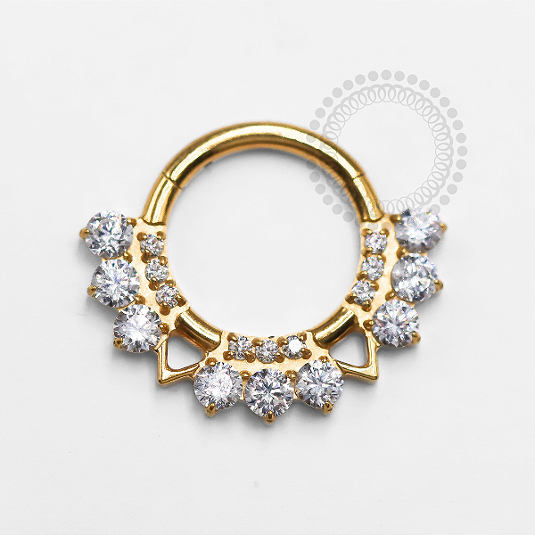 TN1311 Segmento Frontal 8mm 9 CZ Triângulos  Titânio PVD Gold