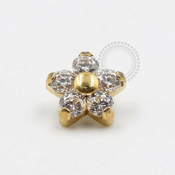 TN318 Topo Flor CZ Miolo Titanio PVD Gold