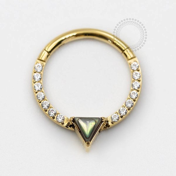 TN723 Segmento Frontal CZ e Abalone Titânio PVD Gold