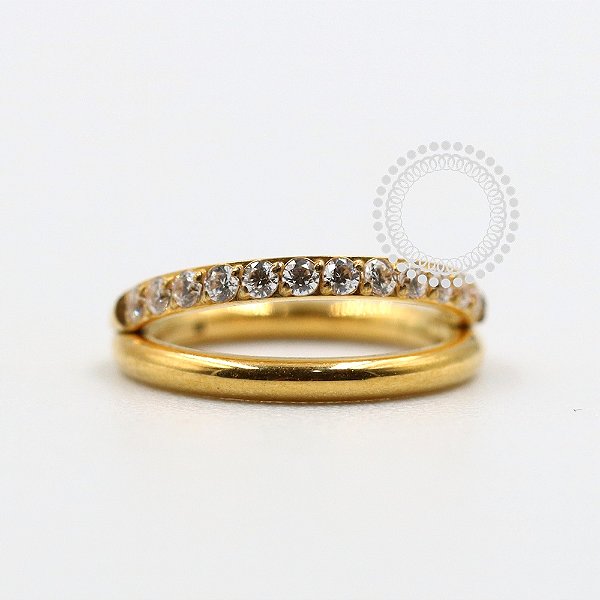 TN1083 Segmento Duplo 1 Linha Cravejada Titânio PVD Gold