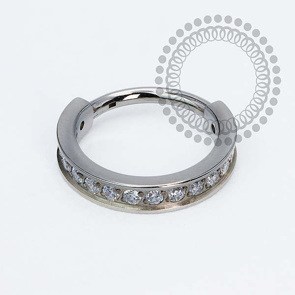 TN2237 Segmento  Cravejado 10mm Titânio ASTM F136