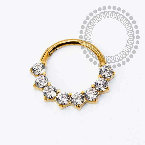 TN2273 Segmento 8 CZ Frontal Titânio PVD Gold