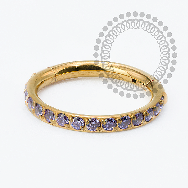 TN2334 Segmento Cravejado CZ Violeta Titânio PVD Gold