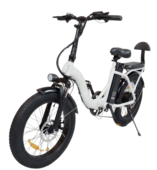 Bicicleta Elétrica Cargo YL-06