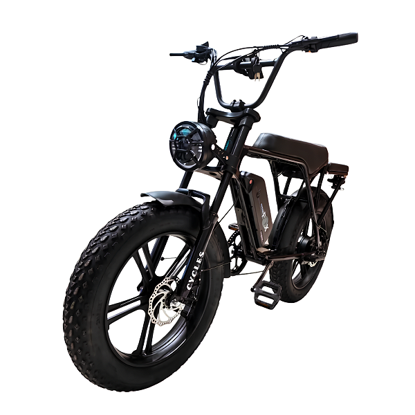 Bicicleta Elétrica Fat Bike DL-01