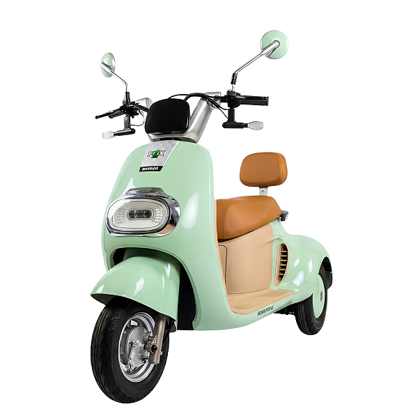 Scooter Elétrica WD-11