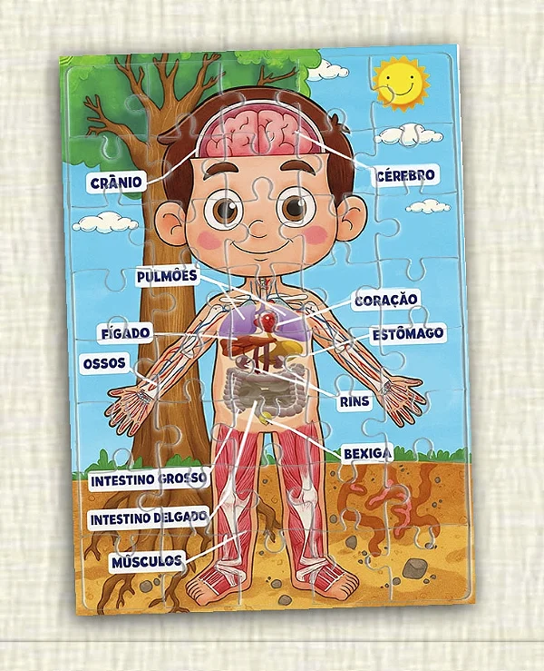 Quebra cabeça Corpo Humano