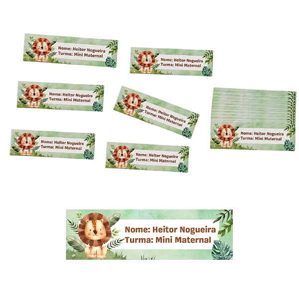 Etiqueta Escolar Temática - Kit com 76 etiquetas 5,0 cm x 1,5 cm