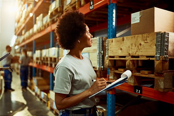 Sistema para Controle de Estoque em Florianópolis | Gestão de Produtos e Movimentações | Raizys Web