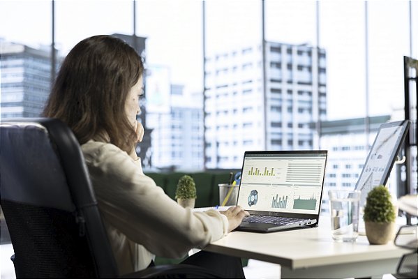 Sistema de Controle Financeiro Empresarial em Governador Eugênio Barros | Fluxo de Caixa, Contas e Gestão Financeira | Raizys Web