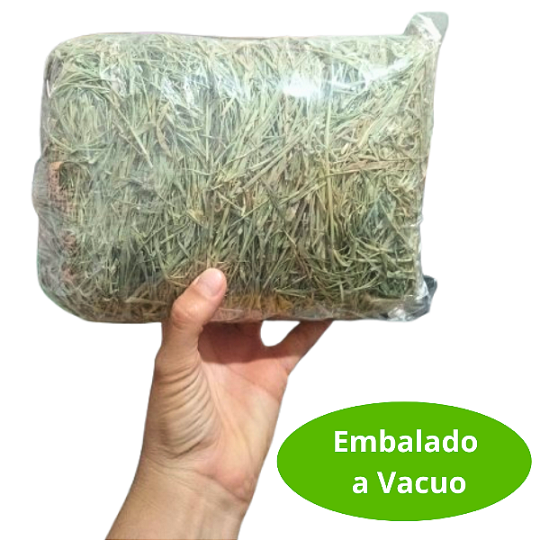Feno Tifton 2kg Verdinho – Nutrição Completa para Cavalo, Coelho e Roedores - Sem Poeira, Rico em Fibras e Super Cheiroso
