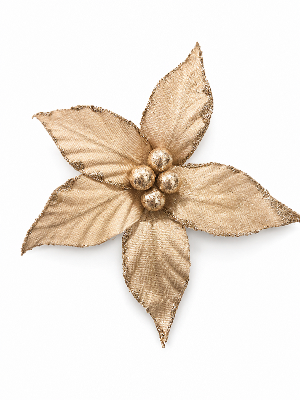 Flor Bico de Papagaio em Veludo Champagne 15 x 22 cm | Flor Decorativa Natalina Premium para Árvore de Natal | Delicare Home