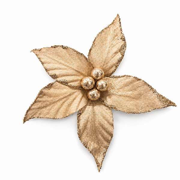 Flor Bico de Papagaio em Veludo Champagne 15 x 22 cm