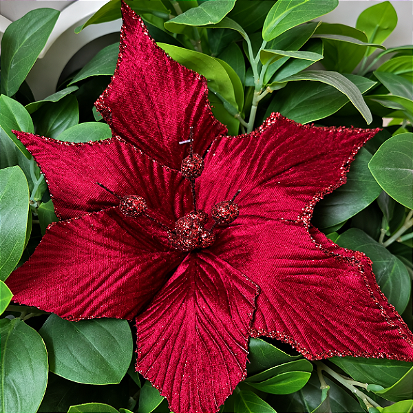 Flor Poinsettia em Veludo Vermelho com Glitter