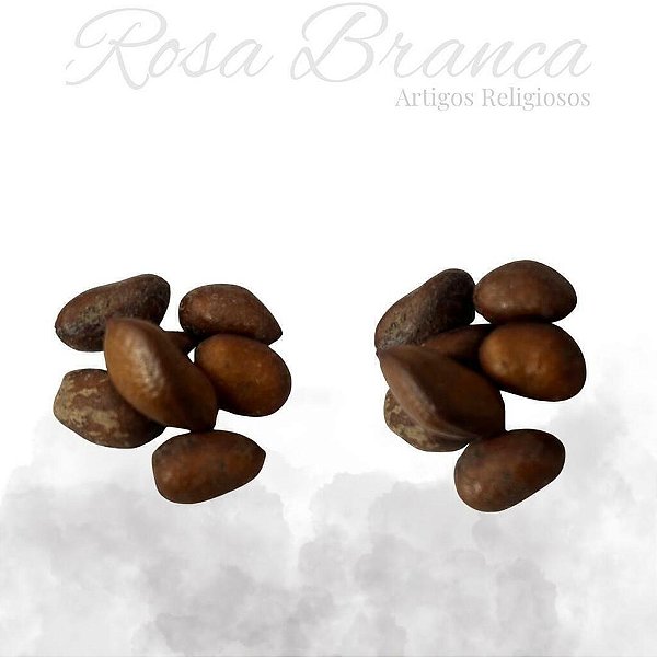 Fava Ario