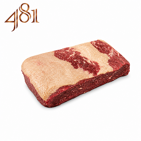 BRISKET SIGNATURE - 481