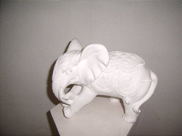 ELEFANTE ANDANDO MÉDIO - 1163