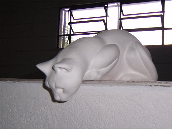 GATO XERETA - 1130