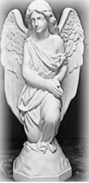 ANJO ORADOR - 0521-A