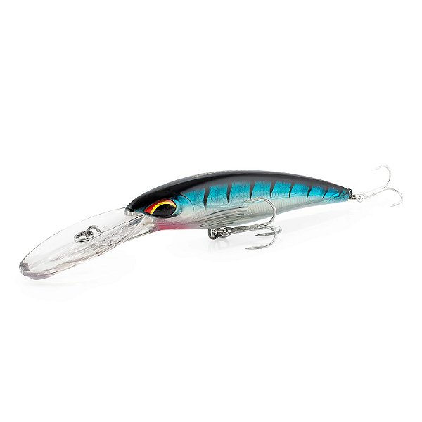 ISCA - ALBATROZ WAHOO