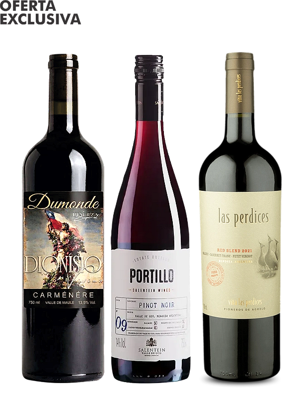 Kit Dumonde Carmenere + Las Perdices + Portillo