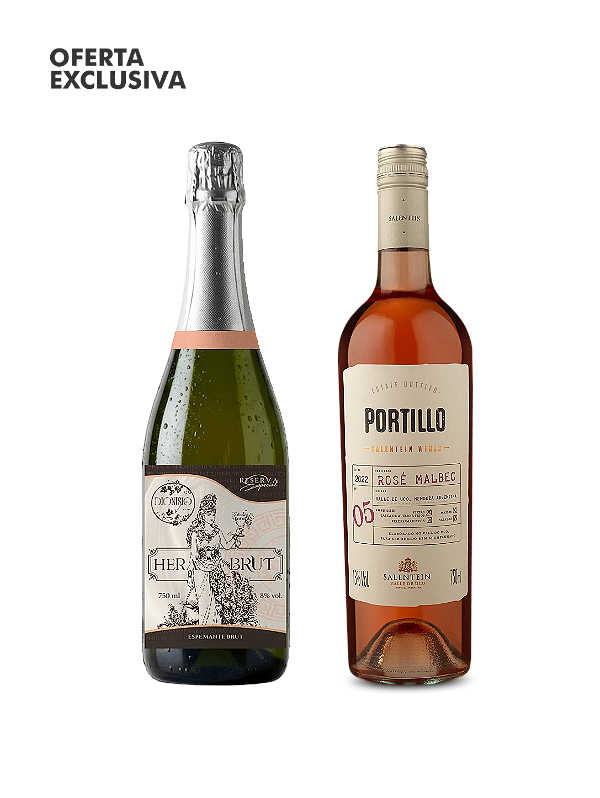Kit Espumante Hera Brut + Portillo Rosé Malbec