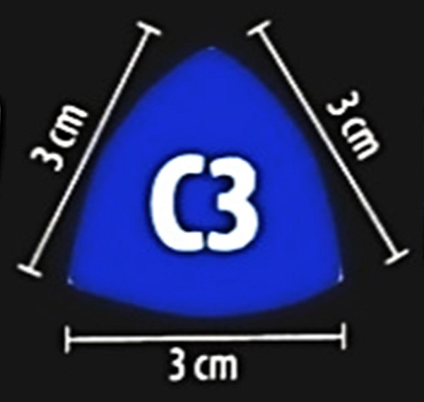Canto C3 Atlas Bali Omd-15438