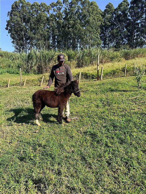 Kiara da Vinha