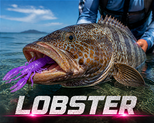Isca Soft - Lobster