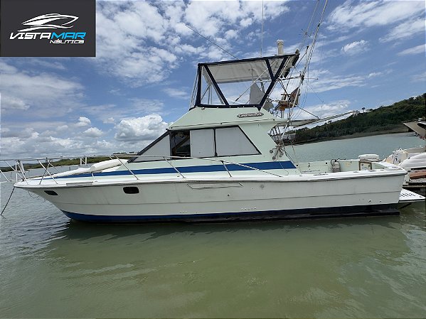 Lancha Carbrasmar 395