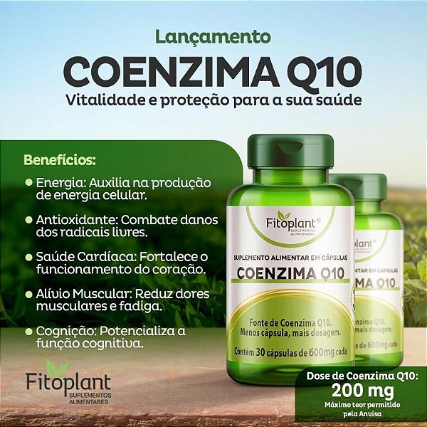 COENZIMA Q10 600 MG 30 CAPS FITOPLANT