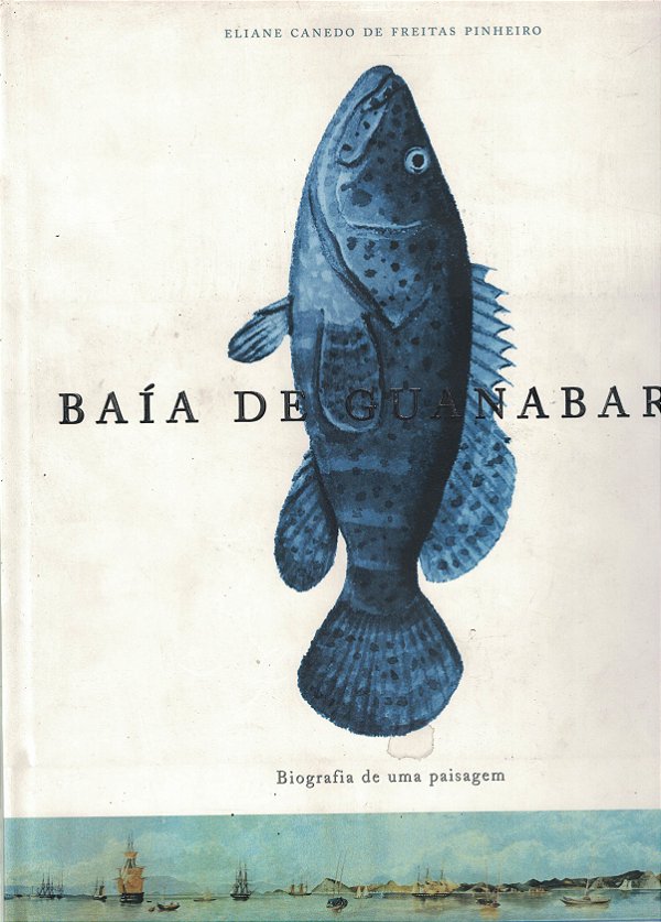 Baía de Guanabara - Biografia de uma Paisagem - USADO