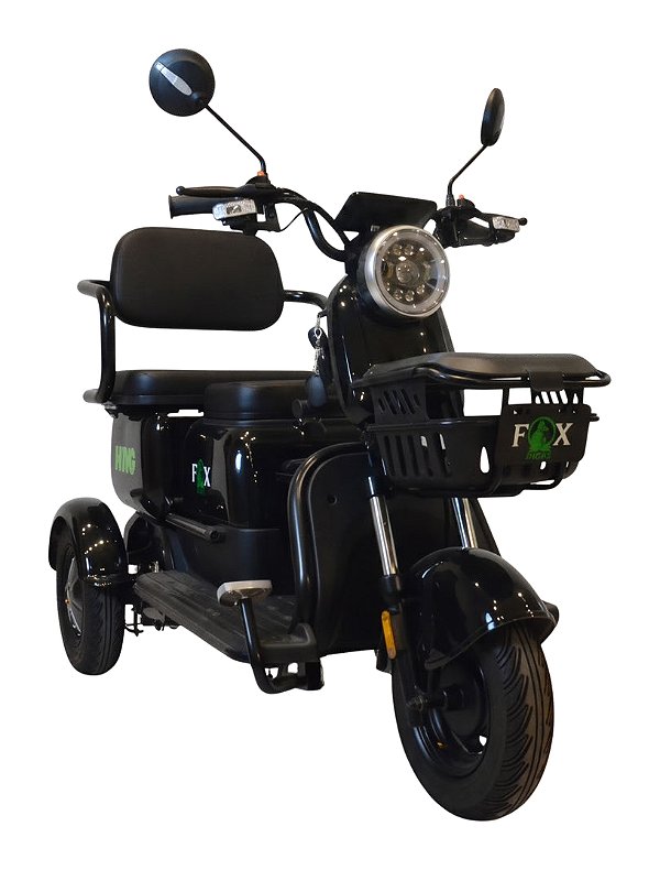 Scooter Elétrica de 3 Rodas WD-10