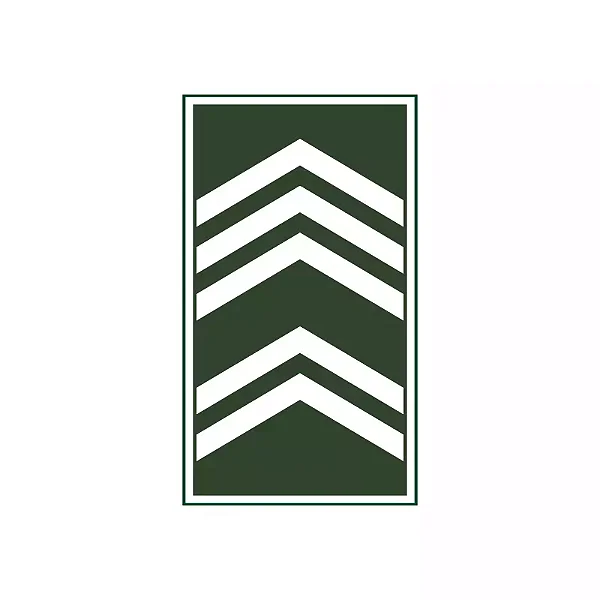 Divisa Emborrachada 1° Sargento