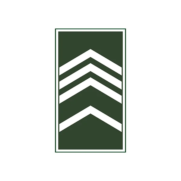Divisa Emborrachada 2° Sargento