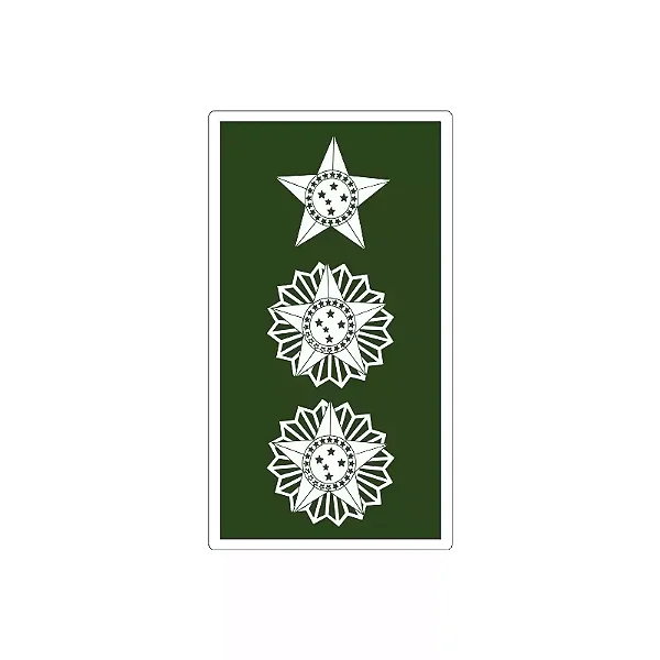 Divisa Emborrachada Tenen. Coronel