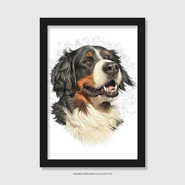 Quadro Bernese Ilustração Realista