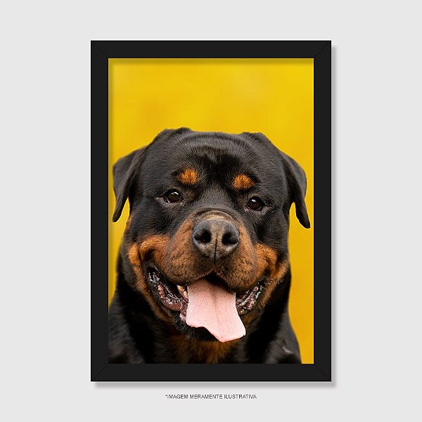 Quadro Rottweiler Retrato Fundo Amarelo